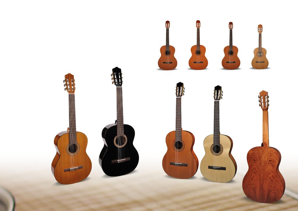 Solid Top ARTIST SERIES most ideal choice when you are looking for your first instrument most ideal choice when you are looking for your first instrument Solid Top ARTIST SERIES Our solid top artist