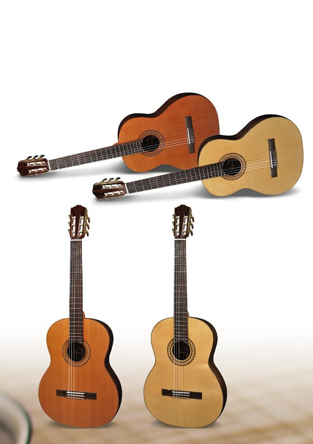 Solid Top ARTIST SERIES most ideal choice when you are looking for your first instrument rosewood