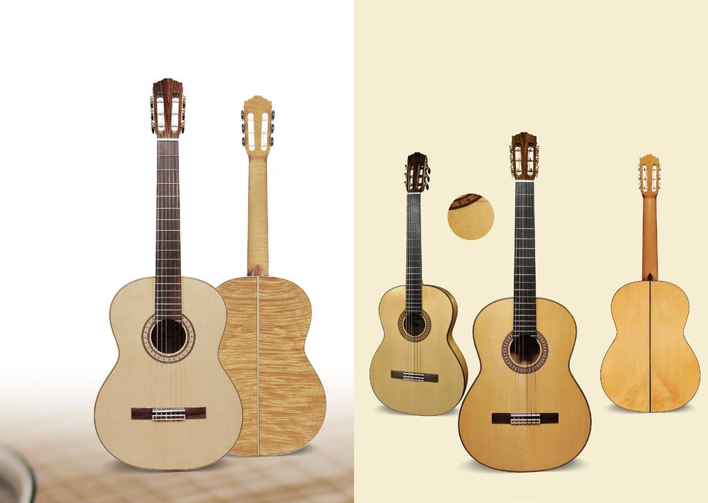Solid Top CONCERT SERIES the solid top Concert Series sound and look devastating uncompromised sound quality at incredible prices FLAMENCO SERIES bone nut and saddle, Spanish neck joint, truss rod,