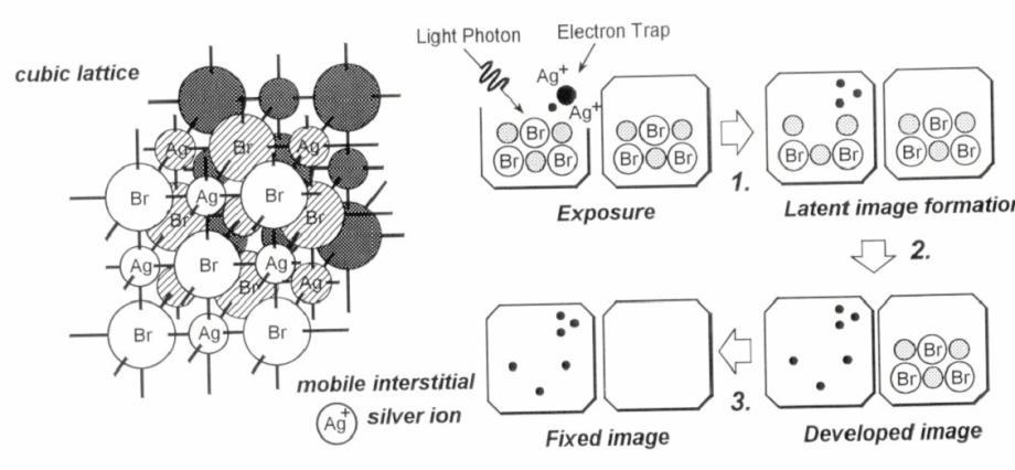Photoemulsion: The lattice Ag and Br atoms are fixed. The individual silver hallide crystals within the emulsion contain: 1. interstitial +Ag ions (mobile) and 2.