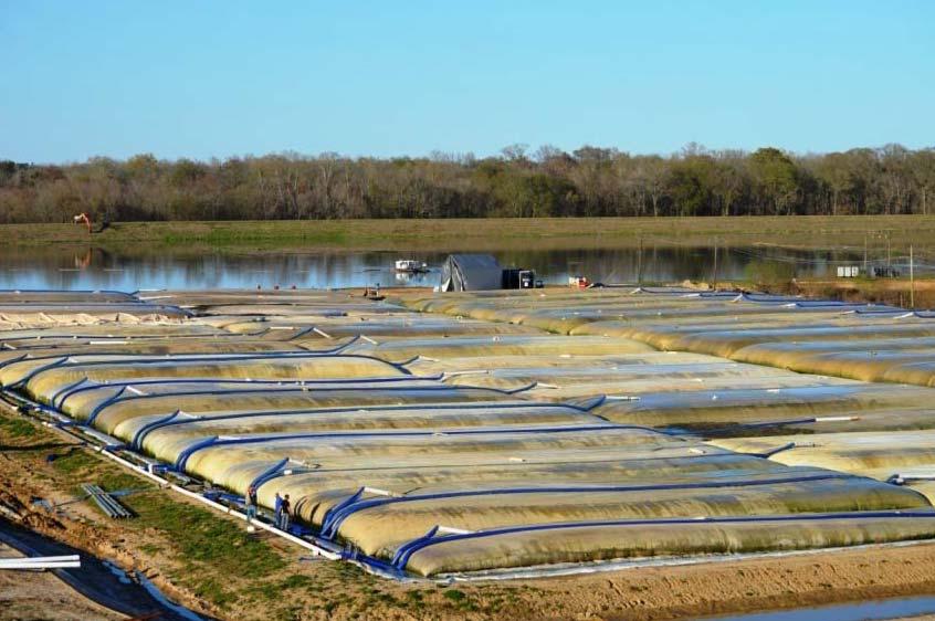 Outline Purpose Pre - Summary Geotextile tubes Dewatering Applications Dewatering Process Fabrics