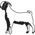 Goat Show Entry Form Mail entries by October 17 to: Amanda Dennis PO Box 1272 Aiken, SC 29802 Exhibitor Name: Date of Birth: / / Age as of Jan 1, 2018: Email: Address: County Phone: Showmanship
