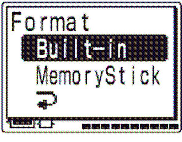 Înainte de formatare, verificańi datele din memorie.