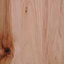 HICKORY A dense hardwood with high shock resistance.