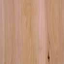 POPLAR A hardwood with relatively straight grain and even texture, an