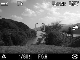 OPERATION OF THE DRIVE MODE Operation of the self-timer, and other functions of the camera are explained by the following: The Drive Mode is set in [ Shooting Menu].