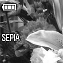 COLOR SETTINGS In addition to standard color settings of the DP, it is also possible to select Sepia and Monochrome (B&W) photography modes. Press the button to open [ Shooting Menu].