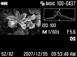 The vertical axis shows the proportion of pixels at each level of brightness. By examining the histogram of the full image, you can gauge the overall exposure of that image.