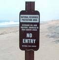 North Carolina s approach is contrary to the USFWS practice of relocating nests on the Pea Island Wildlife Refuge, located on the north end of Hatteras Island, North Carolina.