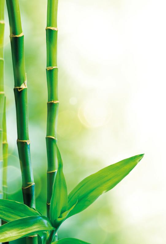 LOW MAINTENANCE: BAMBOO MAKES IT POSSIBLE In Asia bamboo has been valued for its