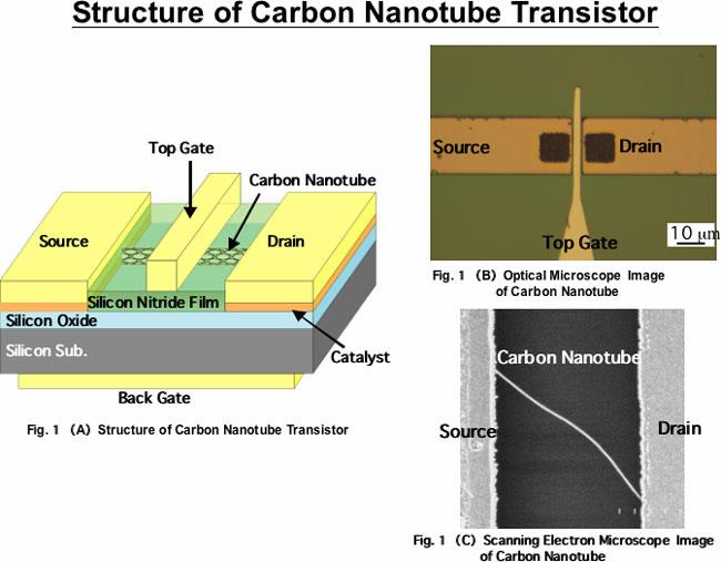 Carbon nanotubes and nanowires From AIST.