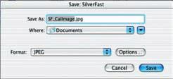 disk. The setting in the save dialog will determine which file