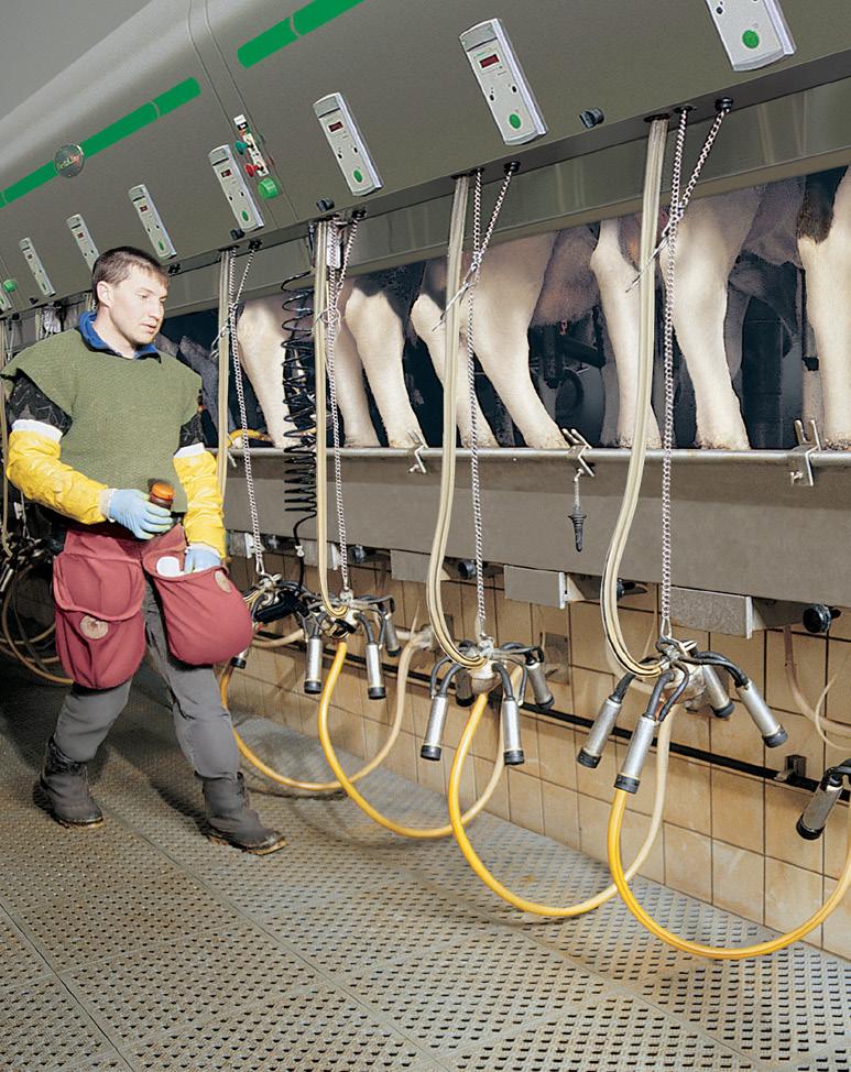 Operator friendly design provides better cow access, improved safety and is easier to keep clean. Because of individual indexing, the cows stand closer to the operator.