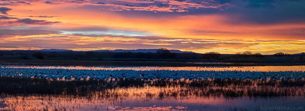 BIRDING NEW MEXICO Winter Birding in the Land of Enchantment December 7-14, 2018 A birding tour organized by Seven Ponds Nature Center From the spectacle of thousands of Sandhill Cranes, Snow Geese,