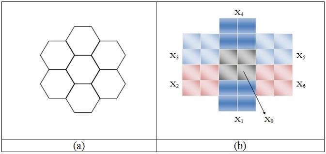 Figure 4. (a) A Cluster of 7 Hexagons (b) Distribution of Hexagonal Pixels Constructed from Square Pixels 2.5.