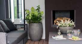 Whether it is a lovely bowl on your garden table, fencing to create more privacy, a sleek flowerpot, sturdy planters or an attractive fountain, Luca Lifestyle has an