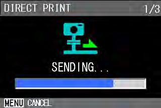 5 The items available vary depending on the functions of the printer. If there are no options available for an item, the detailed options screen does not appear even if you press the $ button.