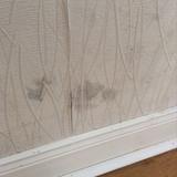 Reception Room Walls Paper painted magnolia. Numerous marks.