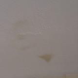Reception Room Ceiling Paper painted white. One water mark.