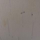 Bedroom Walls Paper painted magnolia. One nail and nine scuff marks. 20/05/2016 10:03 (UTC) at 54.57732629704196, -5.
