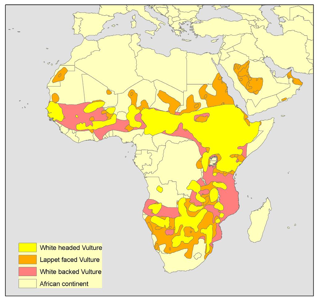 Smallie et al.: Effect of electification of Africa on birds 41 Fig. 3.