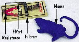 With a third class lever, the input force is between the fulcrum and the load.