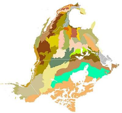 Ecoregions, left, and Bird Conservation Regions, right. Sources. CEC, 1997 and BSC http://www.bsc-eoc.org/international/bcrmain.html, respectively.