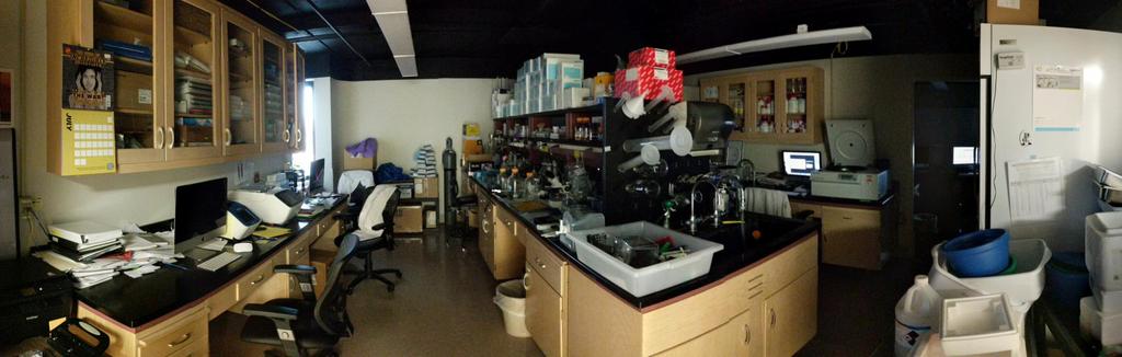 Time Lapse of Gosain Lab