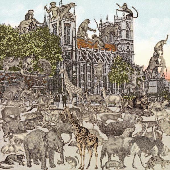 LONDON: WESTMINSTER ABBEY ANIMALIA 2012 collage on paper, 50 x 50 cm /