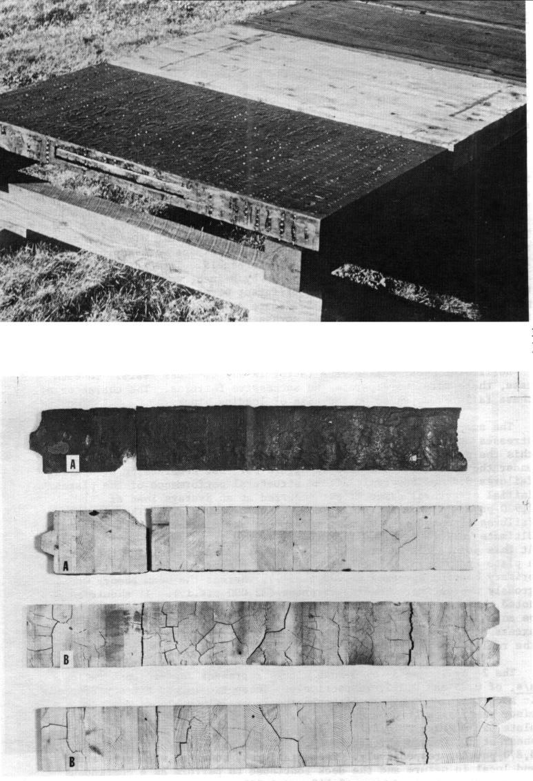 Figure 21.--Glued-laminated deck panels exposed outdoors to evaluate dimensional stability. (M 140 326) Figure 22.