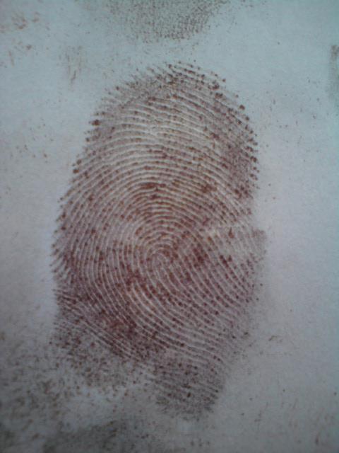 After the fingerprints developed, the article should once again be washed with water so as remove excess silver nitrate.
