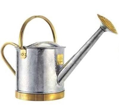 1. A traditional watering can is shown below. exam style 17 The watering can is made from galvanised mild steel and brass. a) (i) State a functional reason for galvanising the mild steel.