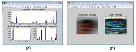 (q) Figure 2: (a) Original Image (b) Non Uniform Motion Blurred Image (c) Regular LBP histogram for Blurred Image (d) original Image and its corresponding image (e) Detected face image (f) Detected