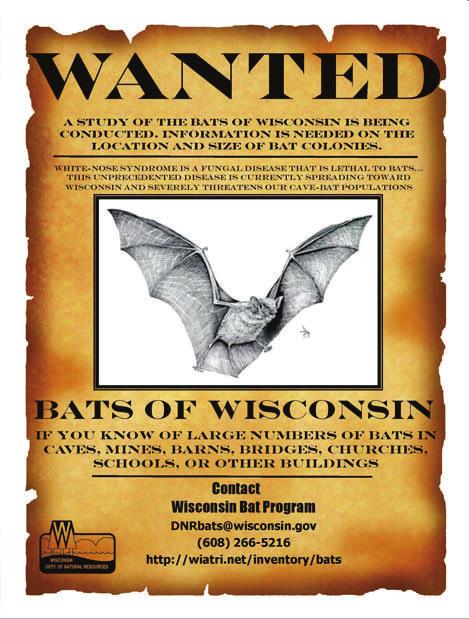 The exclusion is an attempt to prevent their cave from being a jump site for the fungus associated with White-nose syndrome to important large hibernacula such Bat Roost Monitoring Project as Neda