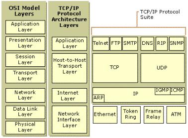 OSI and TCP/IP