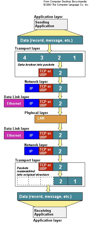 5- Digital Communications techniques IP Networks The Protocol Stack Using TCP/IP as a model, the sending application hands data to the transport layer, which breaks it up into the packets required by