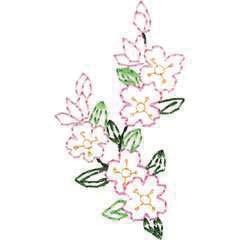 NB180_48 Cherry Blossoms 2 4.97 X 3.15 in. 126.