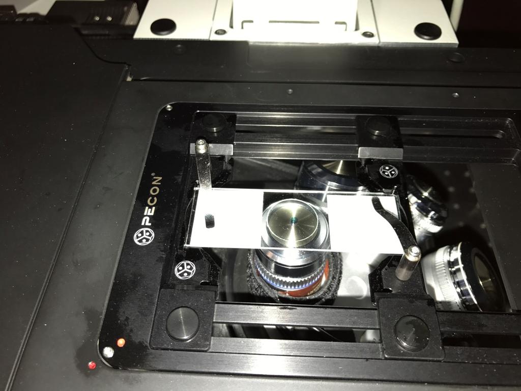 Placing specimen on microscope: The SP8 is an inverted microscope, thus the objectives are below the specimen. Therefore, if using a coverslip slide, you must turn the slide upside down.