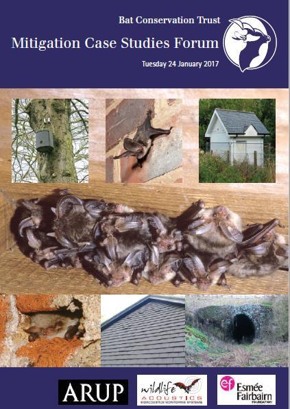 Mitigation Evaluation (3): Success Yes, bat numbers are currently lower than before but.