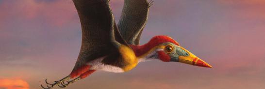 PTEROSAURS: FLIGHT IN THE AGE OF DINOSAURS FEBRUARY 17, 2018 THROUGH AUGUST 12, 2018 Fossils of ancient winged reptiles known as pterosaurs