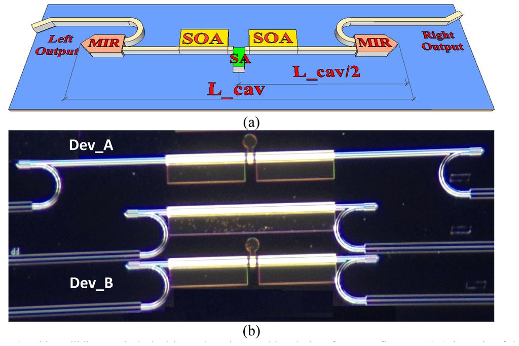 optical gain through semiconductor optical amplifiers (SOAs). On each side of the SA, we locate an SOA with the same length.