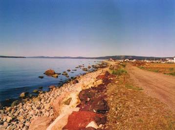 13. Surface photograph of part of coastal road from