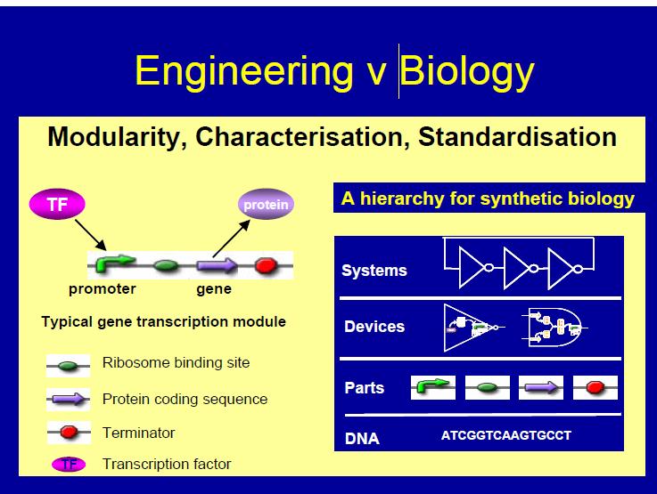 Big Data and Engineering Biology as the Transformative New Normal in the Life Sciences Driving New Sources of Growth Synthetic Biology - Standardization, Abstraction and Modularity Predictive