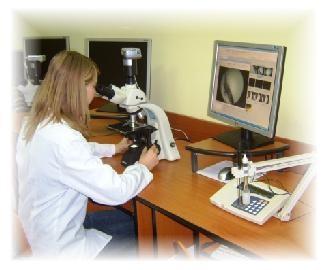 opto-electronicã de imagine - Microscop biologic cu analizã optoelectronicã de imagine - Microscop metalografic cu analizã optoelectronicã de