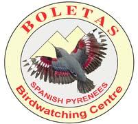 Birdwatching Holidays in Spain, Morocco & more BOLETAS Birdwatching centre 22192 Loporzano (Huesca) Spain tel/fax 00 34 974 262027 or 01162 889318 e.mail: josele@boletas.