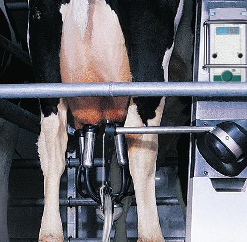 It keeps the high-tech rope away from the cow s leg, manages milk and pulsation hoses during milking, retract and wash, and keeps the milking unit cleaner.
