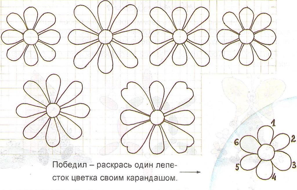 In one turn you can color either one petal or two neighboring petals.
