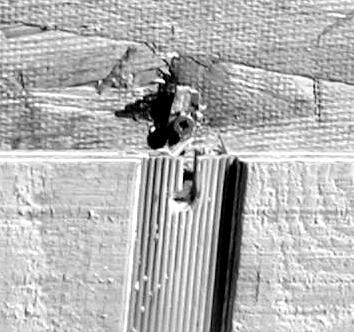The low ductility and toughness of Type A walls versus Type B walls was the results of different failure modes between the screws and nails, respectively.