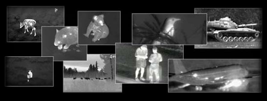 which it is being easily detected by night vision using thermo vision principle (fig.12). Figure 12.
