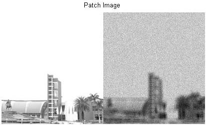 shows the patches of Images.